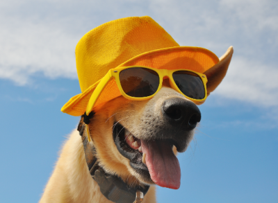 Най-слънчевите промоционални продукти