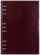 АГЕНДА С МЕХАНИЗЪМ 2027, БОРДО