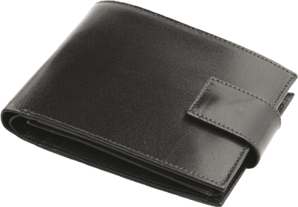 ПОРТФЕЙЛ 320013 01, ЧЕРЕН