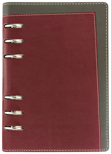 АГЕНДА С МЕХАНИЗЪМ В6, БОРДО