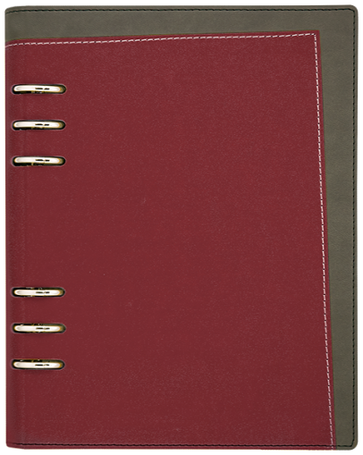АГЕНДА С МЕХАНИЗЪМ А5, БОРДО