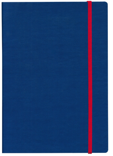 ТЕФТЕР В5 С ЛАСТИК,  СИН