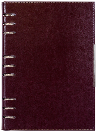 АГЕНДА С МЕХАНИЗЪМ 2027, БОРДО