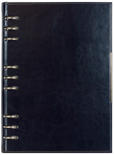 АГЕНДА С МЕХАНИЗЪМ 2027, ТЪМНО СИНЯ