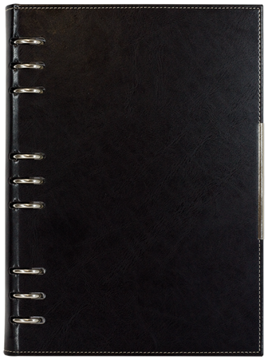 АГЕНДА С МЕХАНИЗЪМ 2027, ЧЕРНА