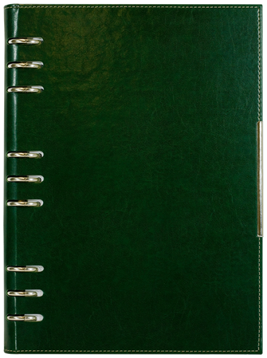 АГЕНДА С МЕХАНИЗЪМ 2027, ЗЕЛЕНА