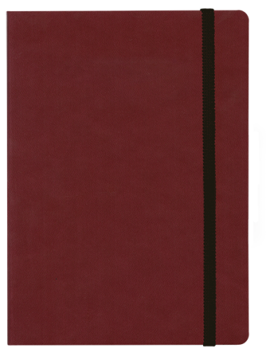 ТЕФТЕР В6 С ЛАСТИК,  БОРДО
