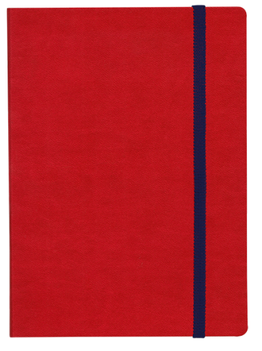 ТЕФТЕР В6 С ЛАСТИК,  ЧЕРВЕН