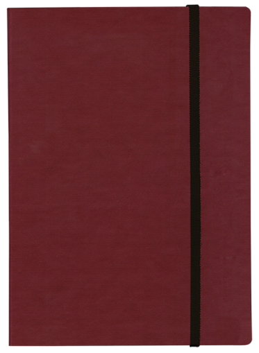 ТЕФТЕР А5 С ЛАСТИК,  БОРДО