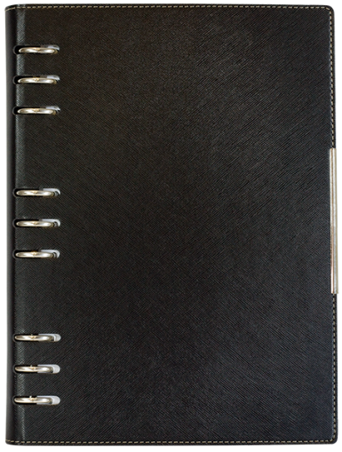 АГЕНДА С МЕХАНИЗЪМ 2027, ЧЕРНА