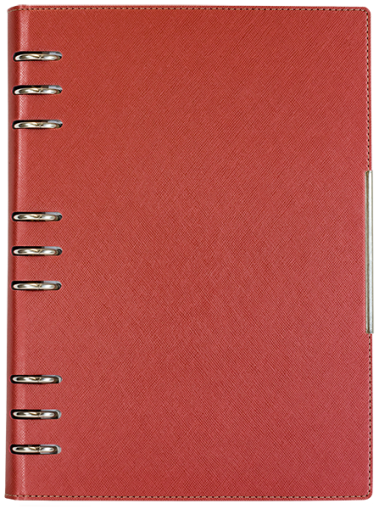 АГЕНДА С МЕХАНИЗЪМ 2027, БОРДО