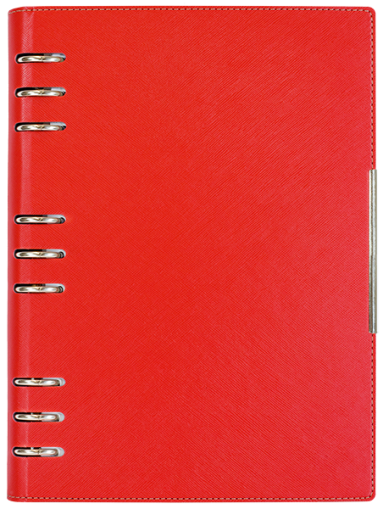 АГЕНДА С МЕХАНИЗЪМ 2027, ЧЕРВЕНА