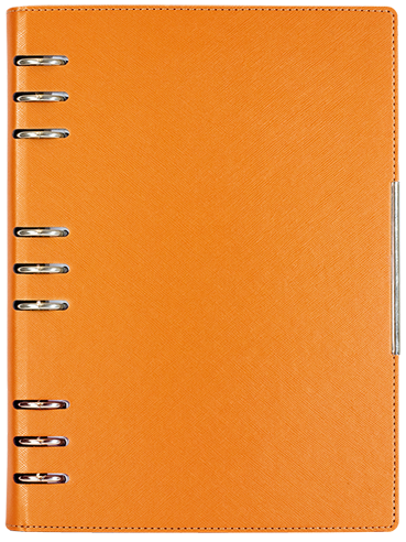 АГЕНДА С МЕХАНИЗЪМ 2027, ОРАНЖЕВА