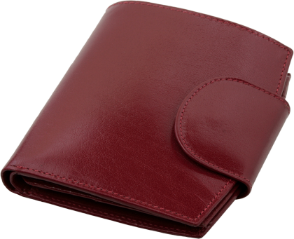 ПОРТФЕЙЛ 319013 03, ВИШНЕВ