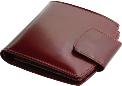 ПОРТФЕЙЛ 314013 03, ВИШНЕВ