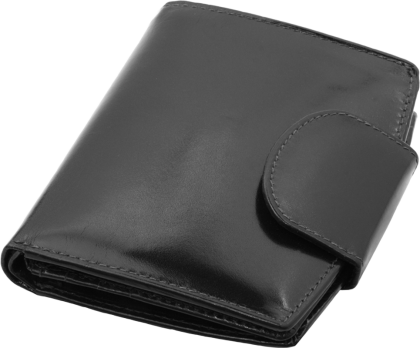 ПОРТФЕЙЛ 319013 01, ЧЕРЕН