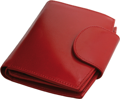 ПОРТФЕЙЛ 319013 11, ЧЕРВЕН