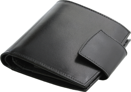 ПОРТФЕЙЛ 314013 01, ЧЕРЕН