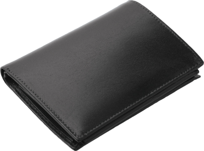 ПОРТФЕЙЛ 318013 01, ЧЕРЕН