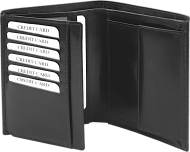 ПОРТФЕЙЛ 300013 01, ЧЕРЕН