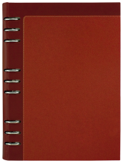 АГЕНДА С МЕХАНИЗЪМ 2027, БОРДО