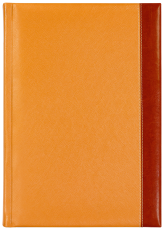 ТЕФТЕР В5 С МЯСТО ЗА ХИМИКАЛ, ОРАНЖЕВ