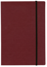 ТЕФТЕР В5 С ЛАСТИК,  БОРДО