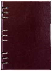 АГЕНДА С МЕХАНИЗЪМ 2027, БОРДО