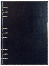 АГЕНДА С МЕХАНИЗЪМ 2027, ТЪМНО СИНЯ