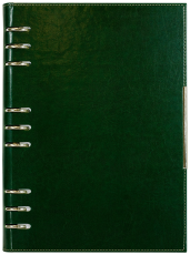 АГЕНДА С МЕХАНИЗЪМ 2027, ЗЕЛЕНА