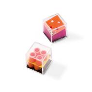 КУТИЯ С 24 ИГРИ GAMY