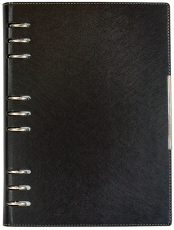 АГЕНДА С МЕХАНИЗЪМ 2027, ЧЕРНА