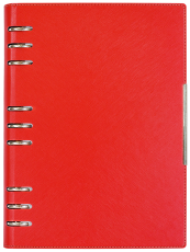 АГЕНДА С МЕХАНИЗЪМ 2027, ЧЕРВЕНА