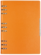 АГЕНДА С МЕХАНИЗЪМ 2027, ОРАНЖЕВА