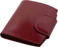 ПОРТФЕЙЛ 319013 03, ВИШНЕВ