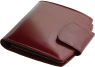 ПОРТФЕЙЛ 314013 03, ВИШНЕВ