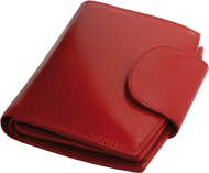 ПОРТФЕЙЛ 319013 11, ЧЕРВЕН