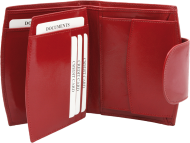 ПОРТФЕЙЛ 319013 11, ЧЕРВЕН