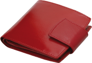 ПОРТФЕЙЛ 314013 11, ЧЕРВЕН