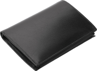 ПОРТФЕЙЛ 318013 01, ЧЕРЕН