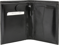 ПОРТФЕЙЛ 318013 01, ЧЕРЕН