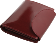 ПОРТФЕЙЛ 357013 03, ВИШНЕВ