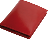 ПОРТФЕЙЛ 312013 11, ЧЕРВЕН