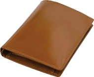 ПОРТФЕЙЛ 312013 10, БЕЖОВ