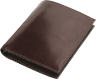 ПОРТФЕЙЛ 312013 02, КАФЯВ