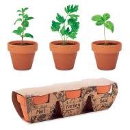 САКСИЯ С 3 БИЛКИ FLOWERPOT